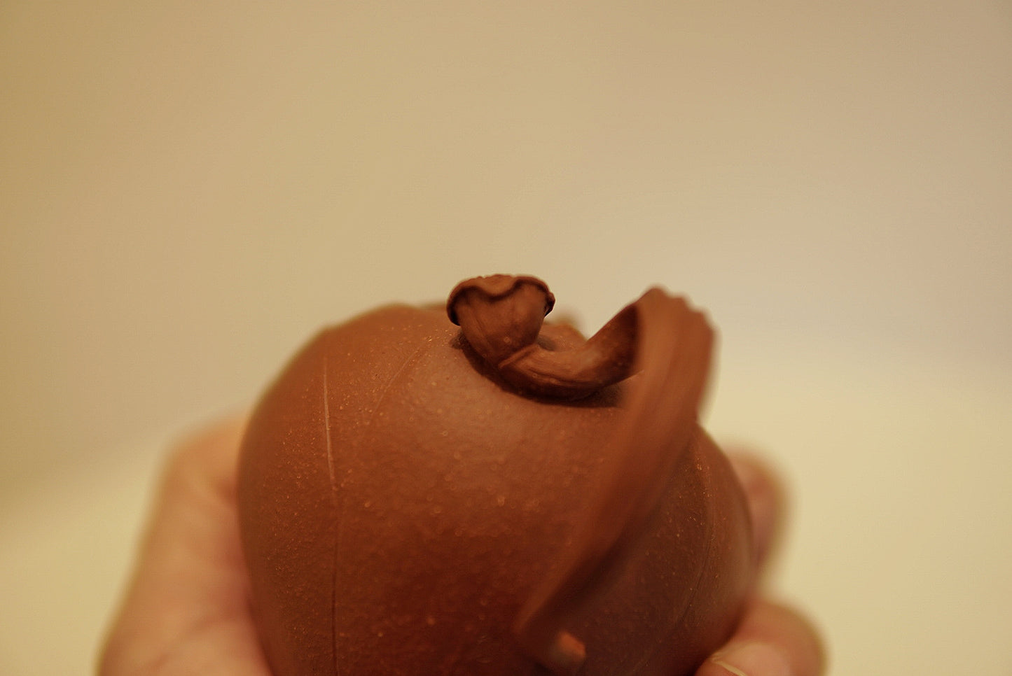 Yixing Zisha Lotus Seed Pod Teapot | Lian Zi Shi Piao | Traditional Chinese Kung Fu Tea Pot | Hong Jiangpo Clay | 190 ml / 6.4 oz