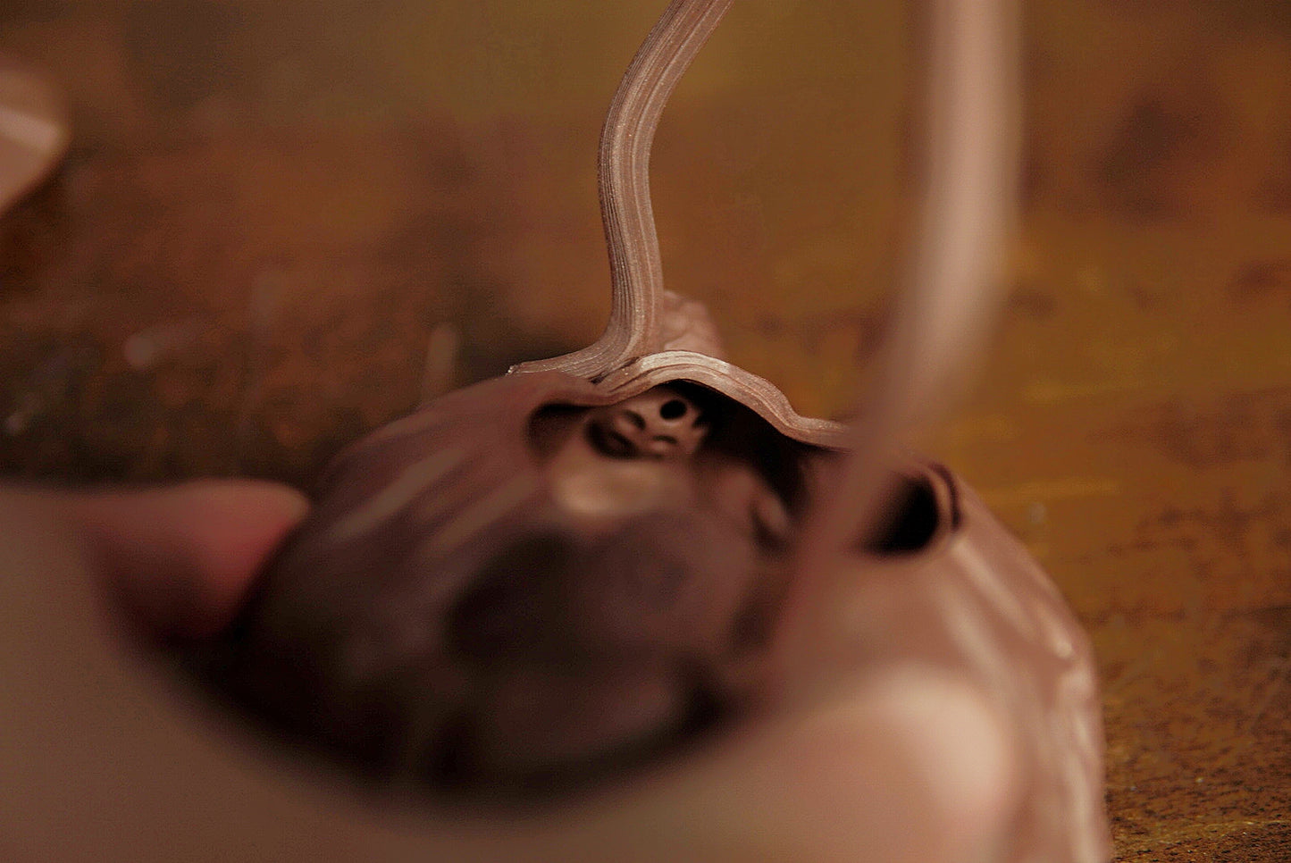 Lotus Teapots Zisha Yixing Clay 180ML