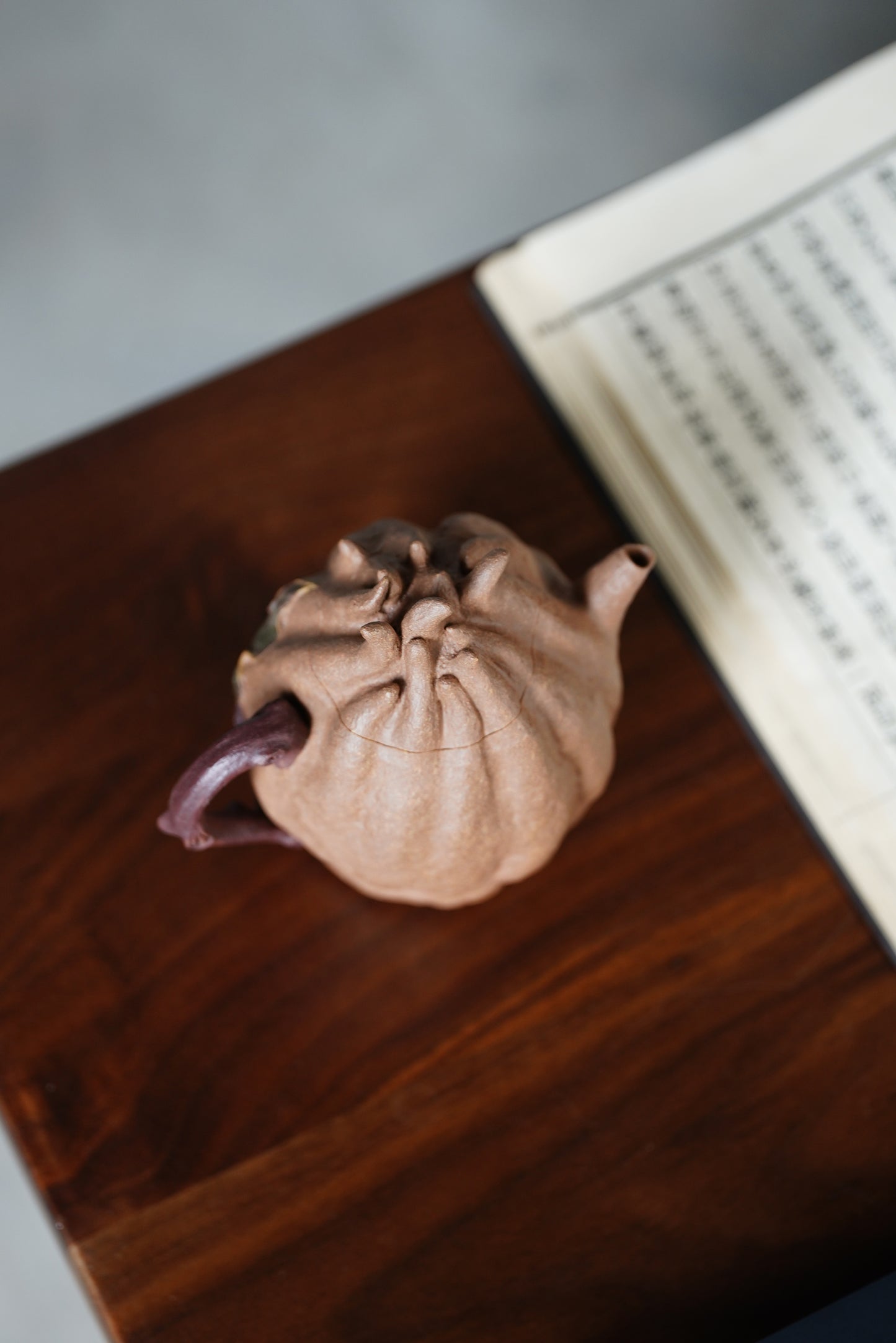 Chayote Teapots Zisha Yixng Clay