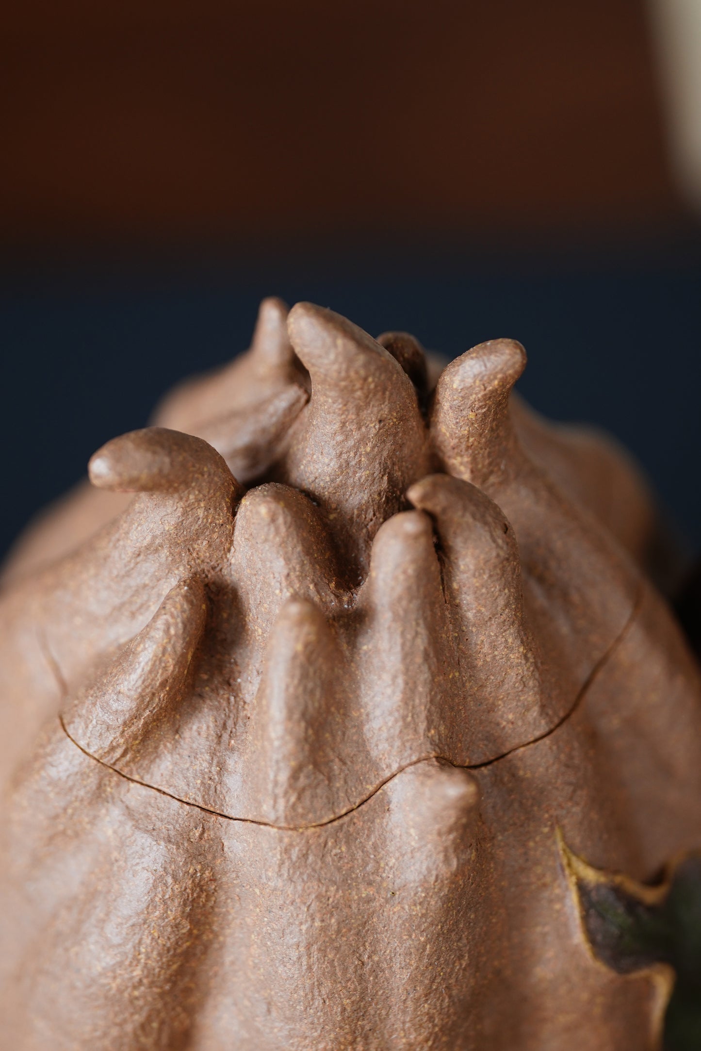 Chayote Teapots Zisha Yixng Clay