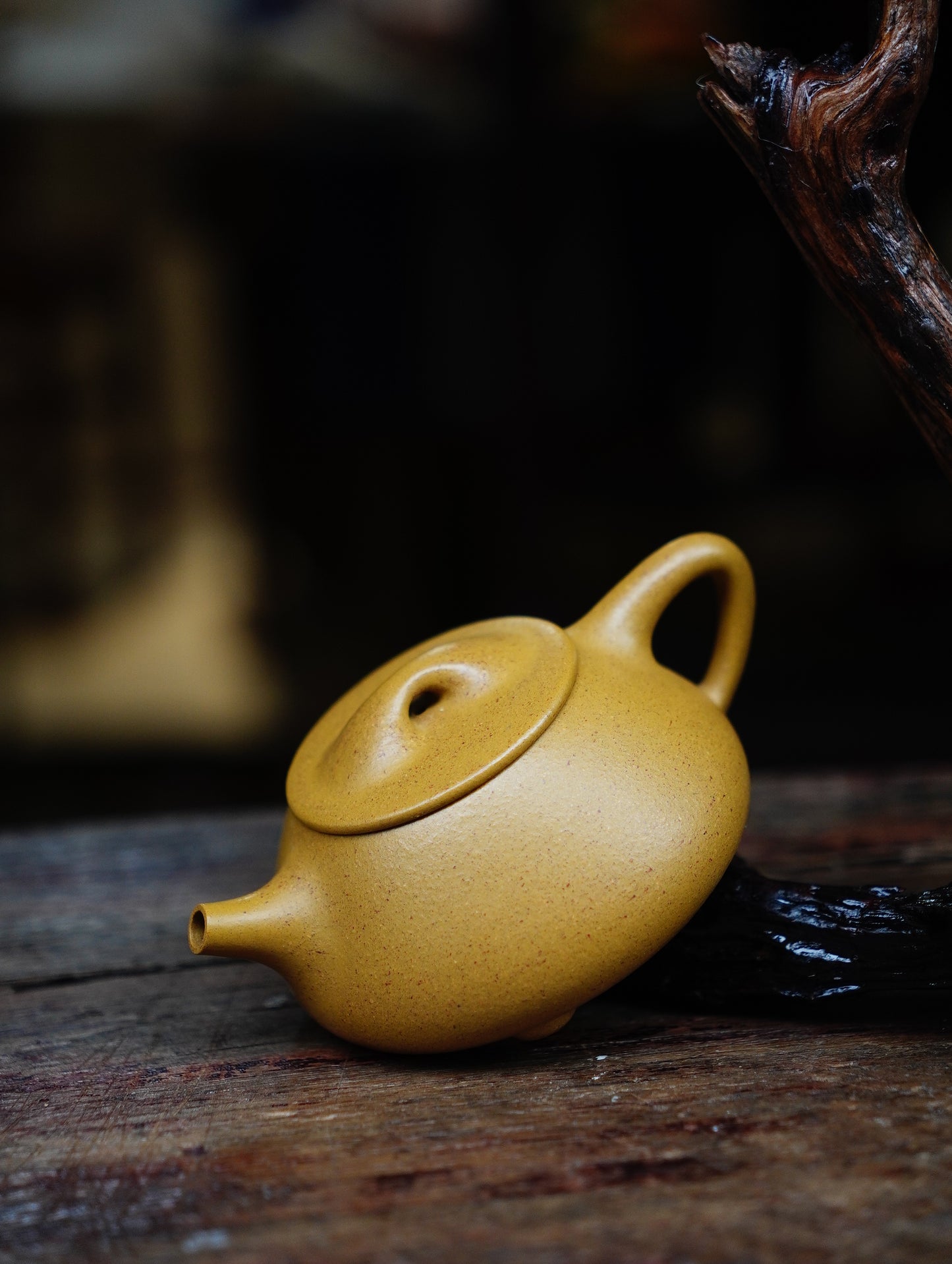 Jingzhou Shipiao Teapots Zisha Yixing Clay 160ML