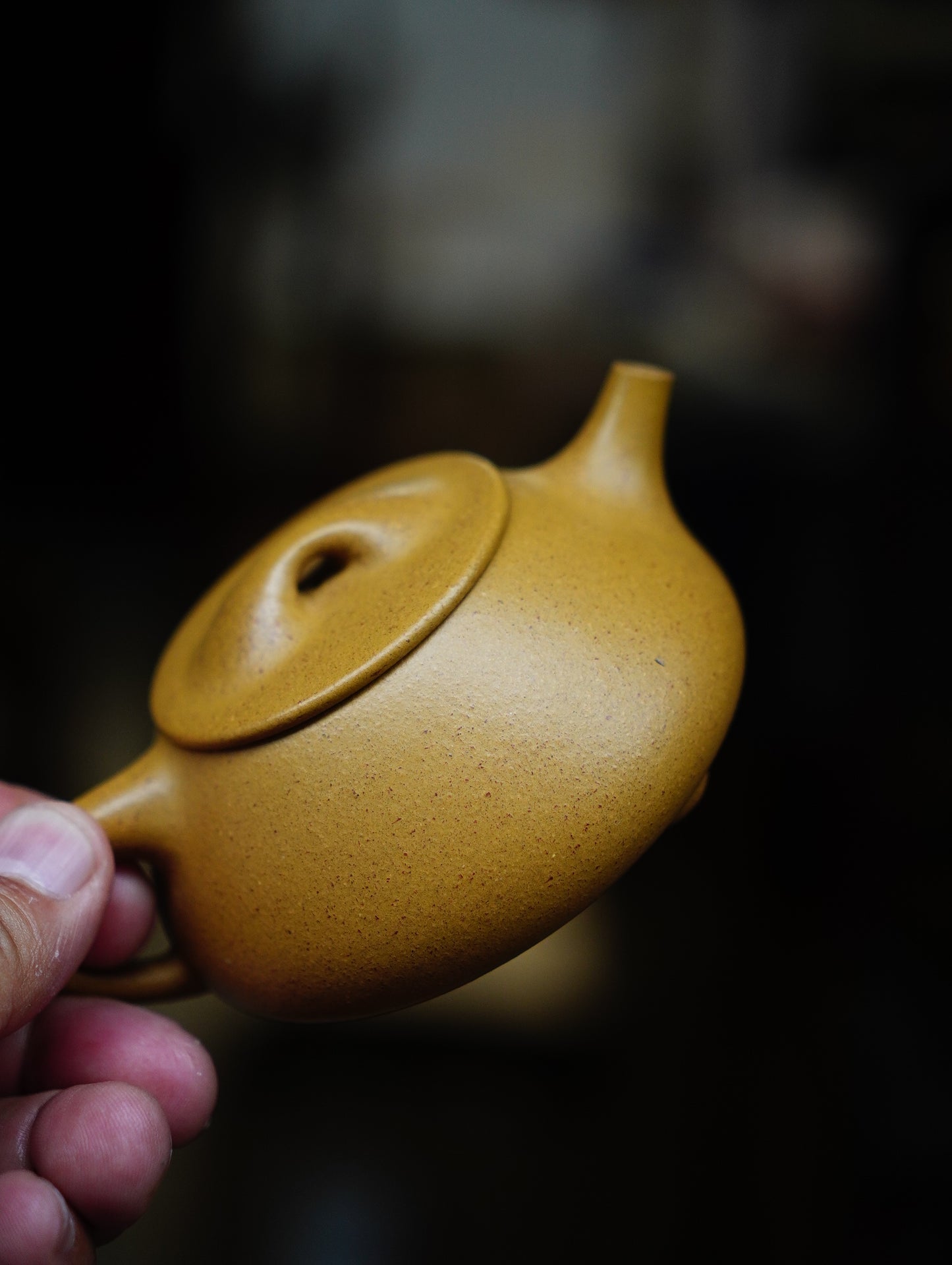 Jingzhou Shipiao Teapots Zisha Yixing Clay 160ML