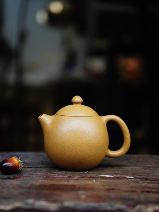 Longdan Teapots Zisha Yixing Clay 160ML