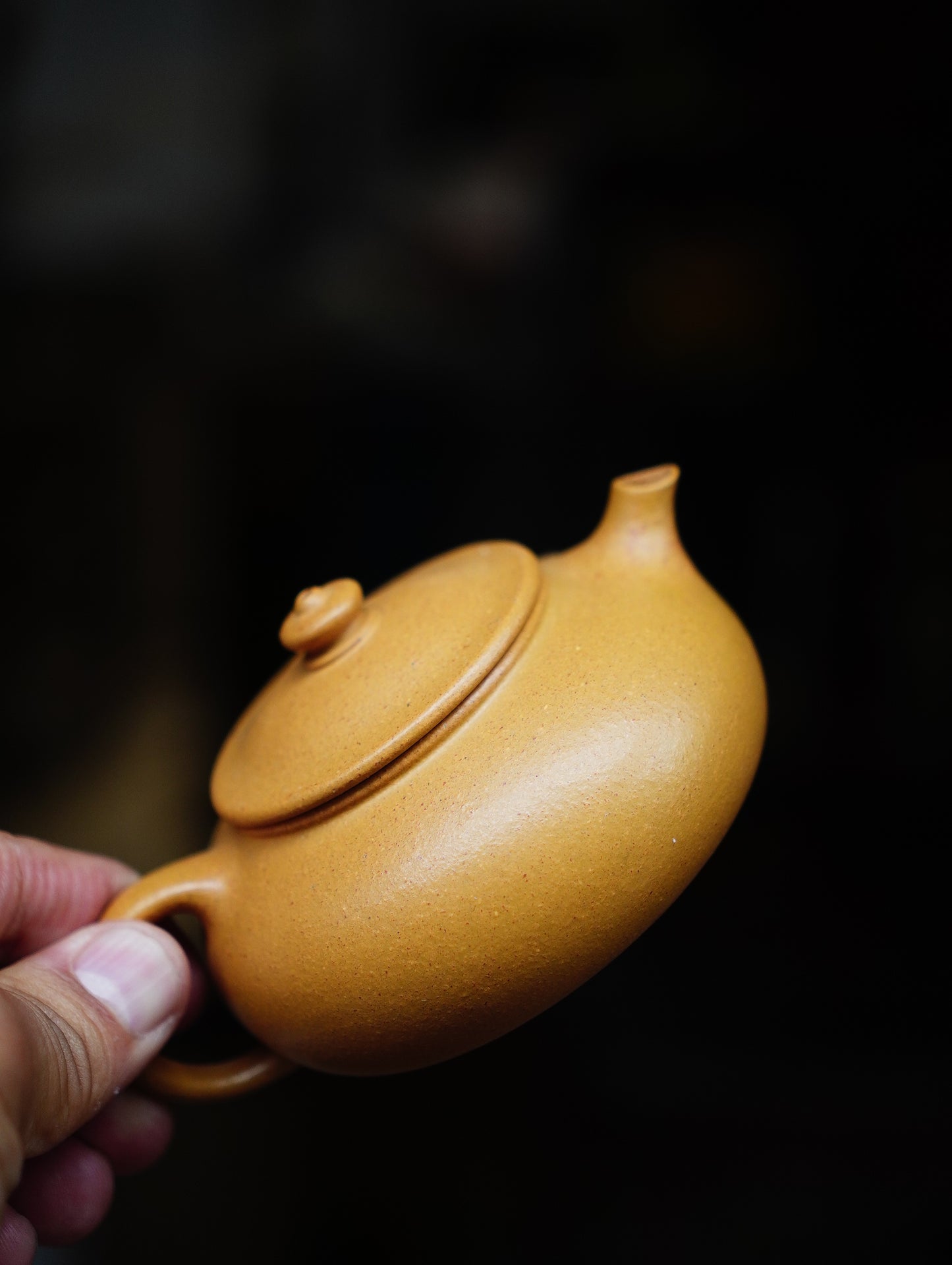 Hanjiang Teapots Zisha Yixing Teapots 160ML