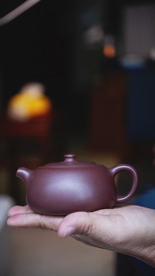 Full-Handmade Tangshi Jinglan teapot, purple clay, 200ml Collectible Zen Traditional Chinese Tea Art